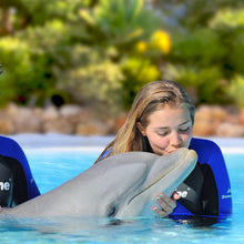 Load image into Gallery viewer, Quarteira / Vilamoura to Zoomarine Algarve